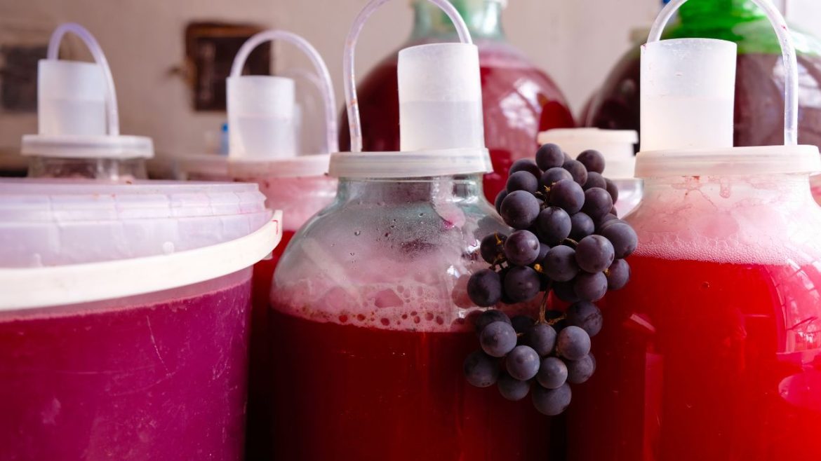 Wine Fermentation Container Top Features to Look for